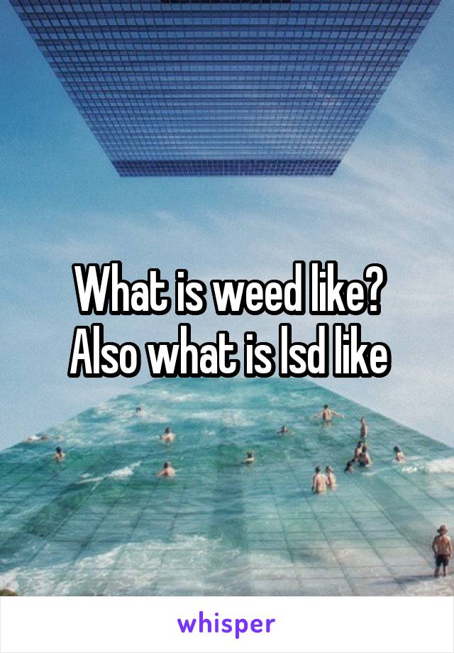 What is weed like?
Also what is lsd like