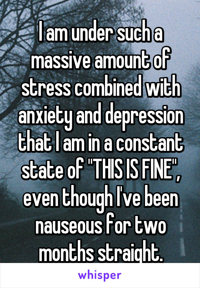 I am under such a massive amount of stress combined with anxiety and depression that I am in a constant state of "THIS IS FINE", even though I've been nauseous for two months straight.