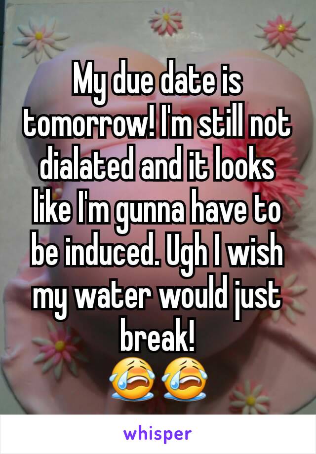 My due date is tomorrow! I'm still not dialated and it looks like I'm gunna have to be induced. Ugh I wish my water would just break!
😭😭