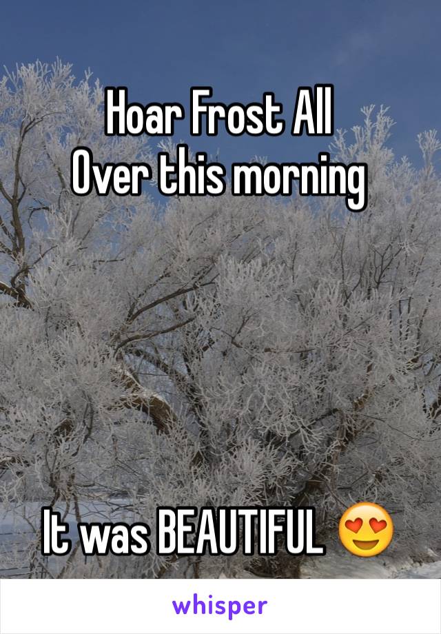 Hoar Frost All 
Over this morning 





It was BEAUTIFUL 😍