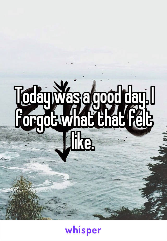 Today was a good day. I forgot what that felt like. 