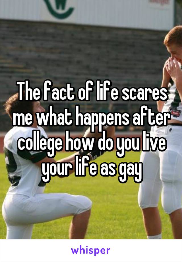 The fact of life scares me what happens after college how do you live your life as gay