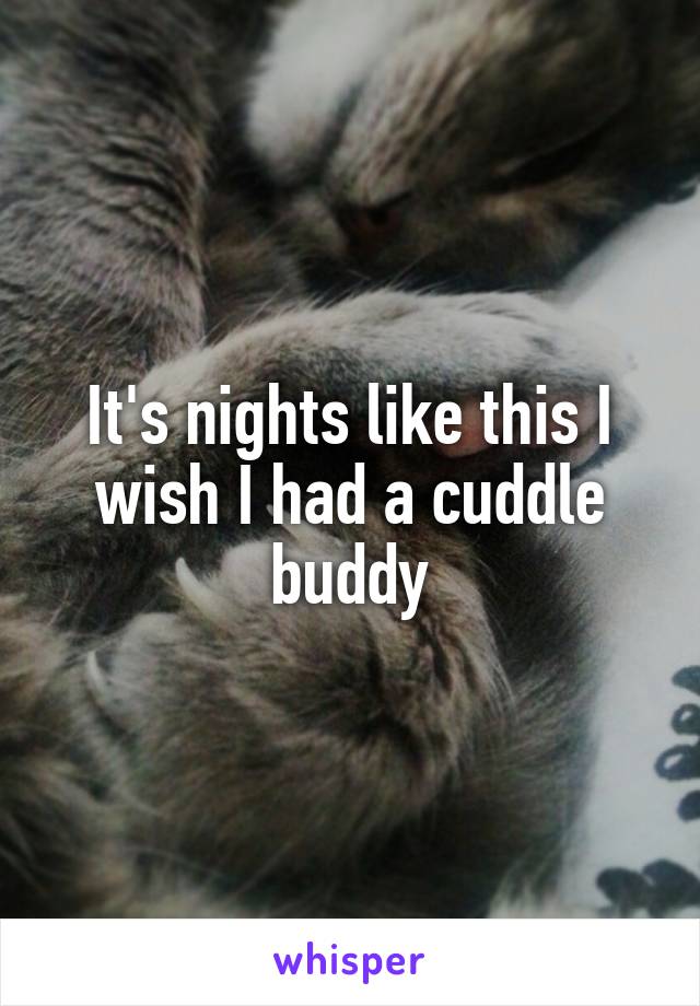 It's nights like this I wish I had a cuddle buddy