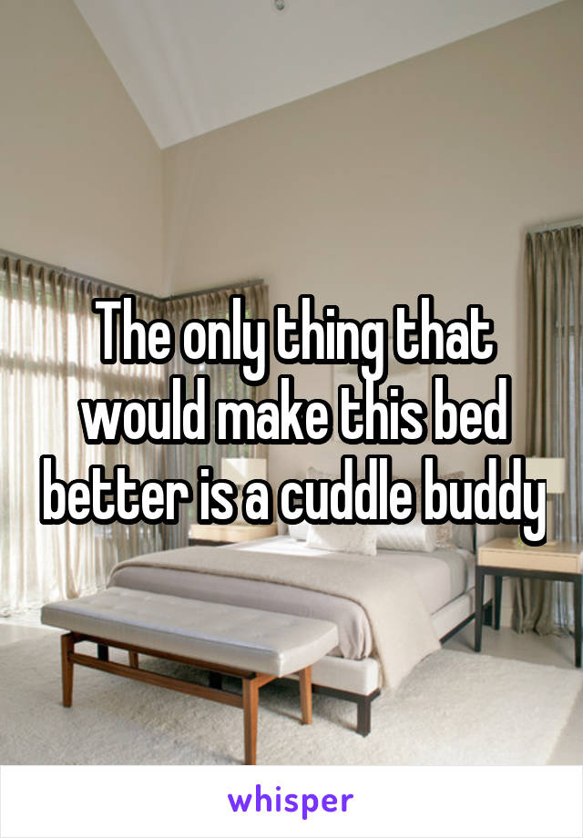 The only thing that would make this bed better is a cuddle buddy