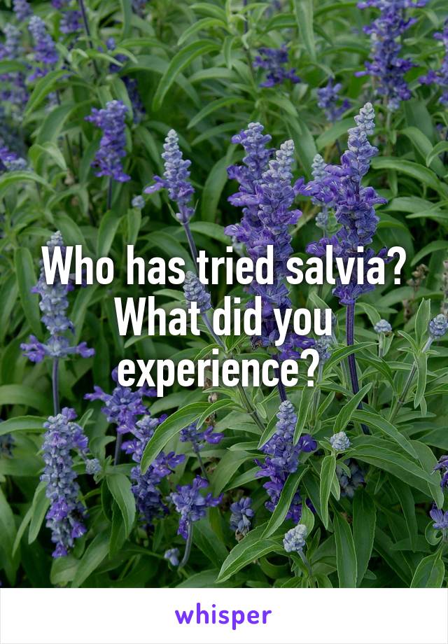 Who has tried salvia? What did you experience? 