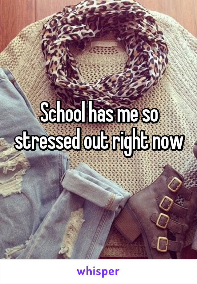 School has me so stressed out right now
