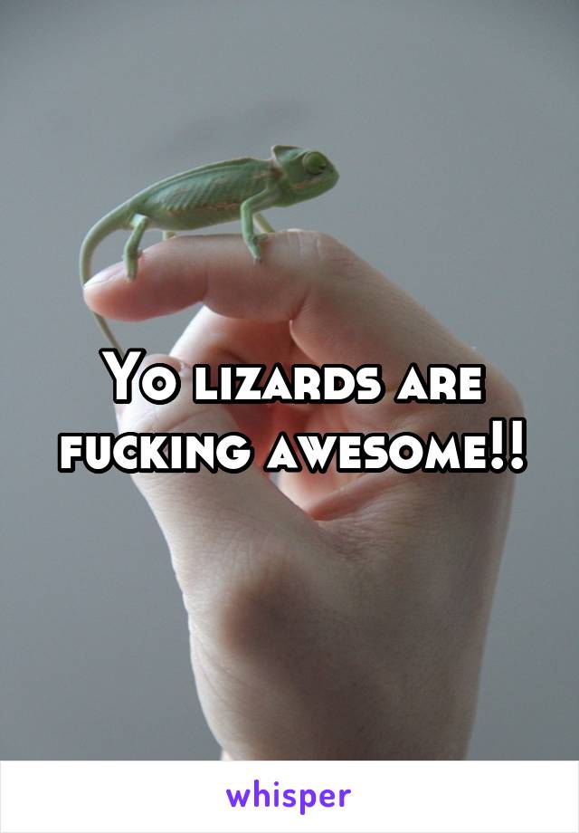 Yo lizards are fucking awesome!!