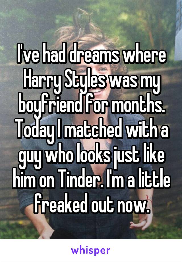 I've had dreams where Harry Styles was my boyfriend for months. Today I matched with a guy who looks just like him on Tinder. I'm a little freaked out now.