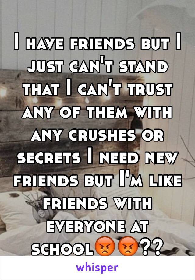 I have friends but I just can't stand that I can't trust any of them with any crushes or secrets I need new friends but I'm like friends with everyone at school😡😡??