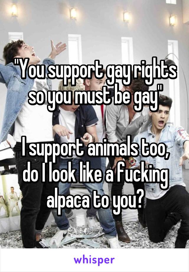 "You support gay rights so you must be gay"

I support animals too, do I look like a fucking alpaca to you?