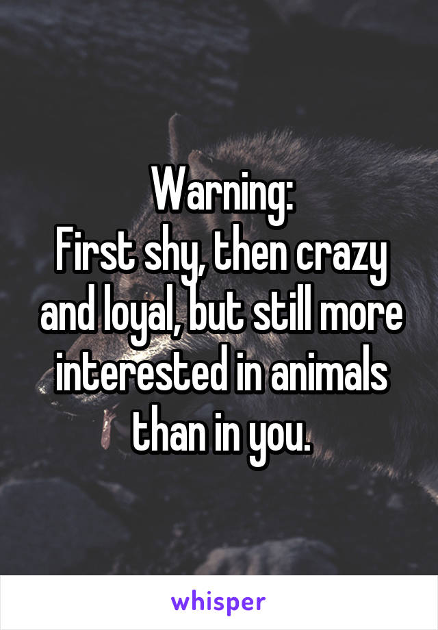 Warning:
First shy, then crazy and loyal, but still more interested in animals than in you.