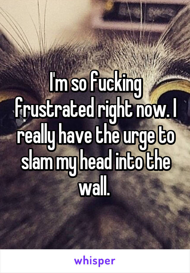 I'm so fucking frustrated right now. I really have the urge to slam my head into the wall. 