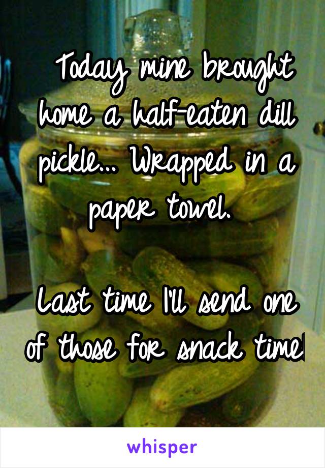  Today mine brought home a half-eaten dill pickle... Wrapped in a paper towel. 

Last time I'll send one of those for snack time! 