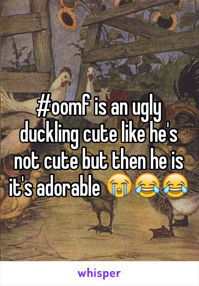 #oomf is an ugly duckling cute like he's not cute but then he is it's adorable 😭😂😂