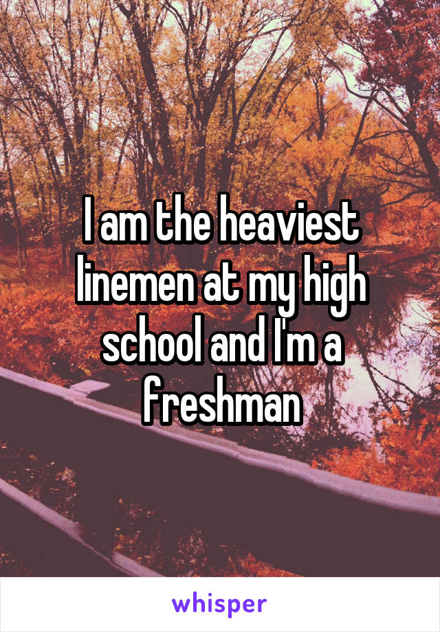 I am the heaviest linemen at my high school and I'm a freshman