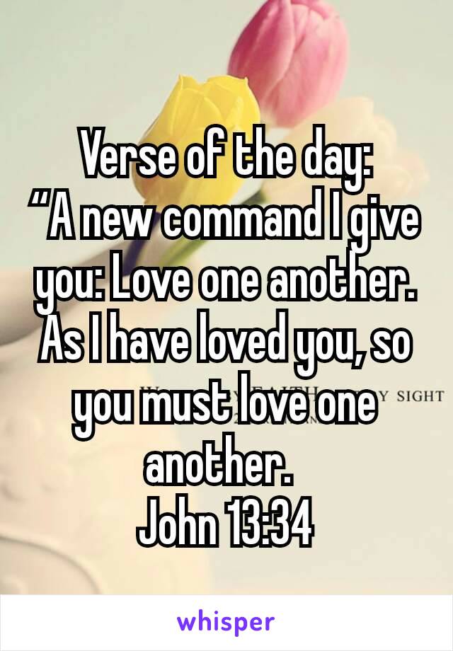 Verse of the day:
“A new command I give you: Love one another. As I have loved you, so you must love one another. 
John 13:34