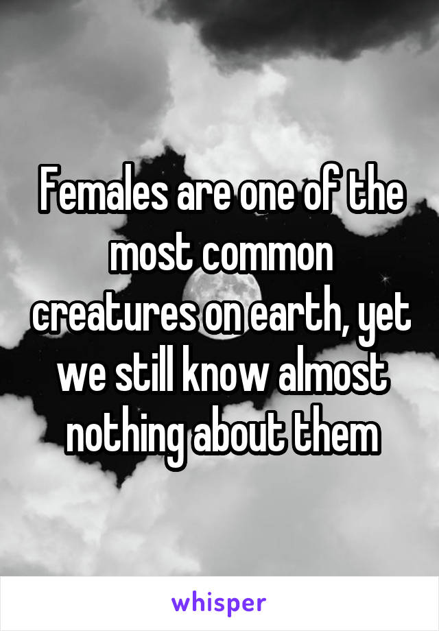 Females are one of the most common creatures on earth, yet we still know almost nothing about them