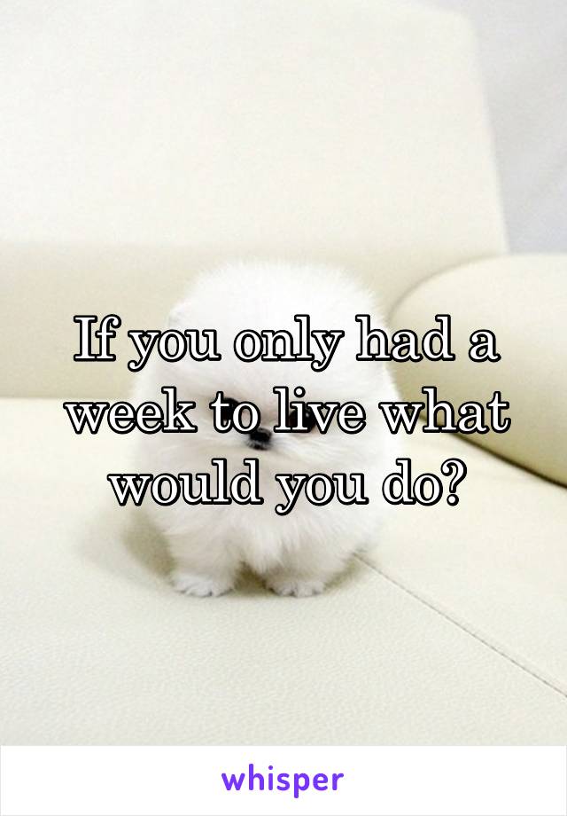 If you only had a week to live what would you do?