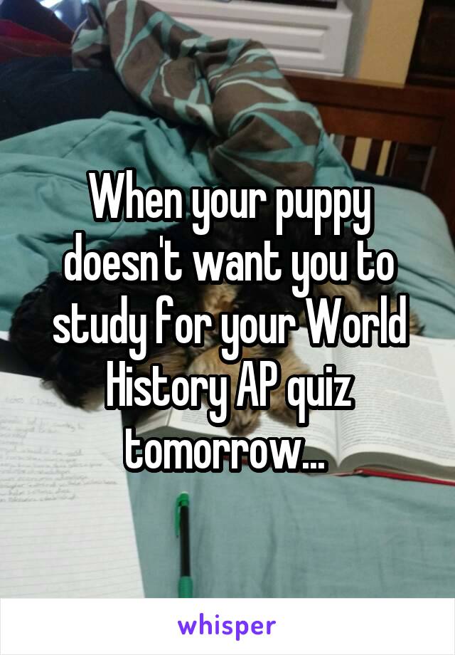 When your puppy doesn't want you to study for your World History AP quiz tomorrow... 