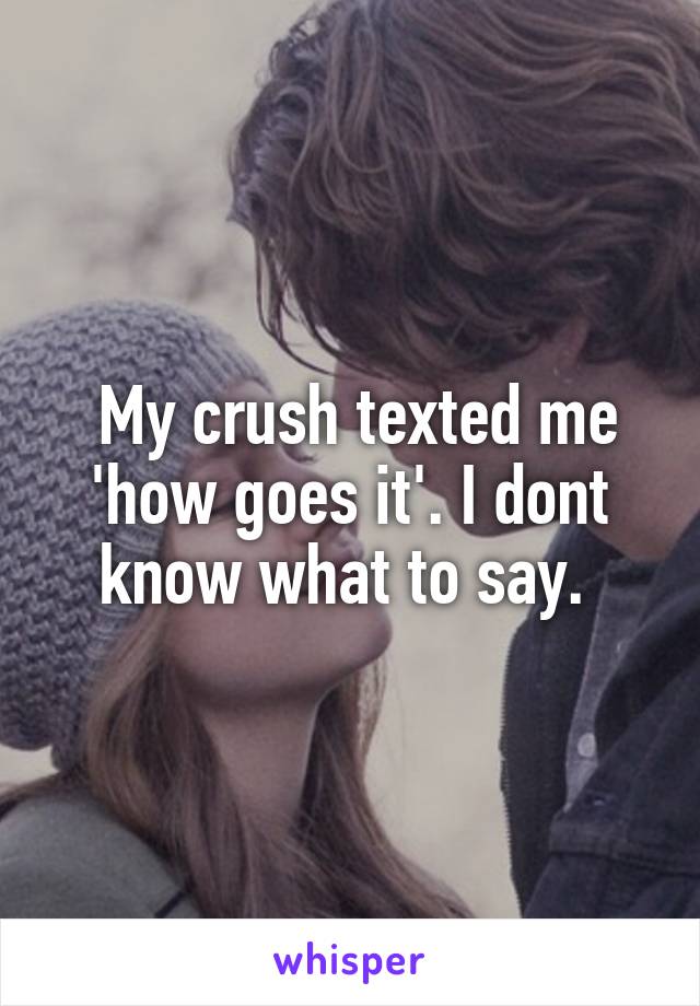  My crush texted me 'how goes it'. I dont know what to say. 