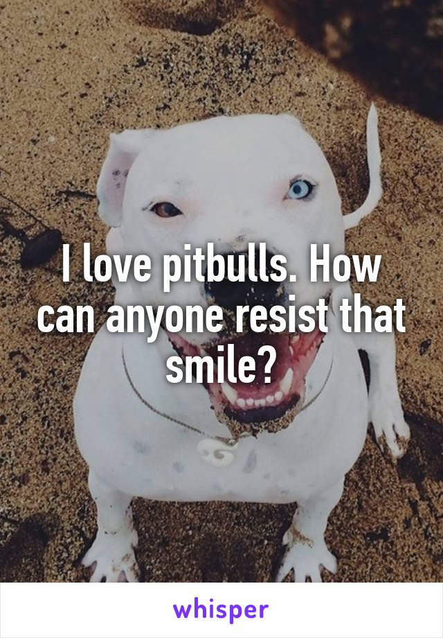 I love pitbulls. How can anyone resist that smile?