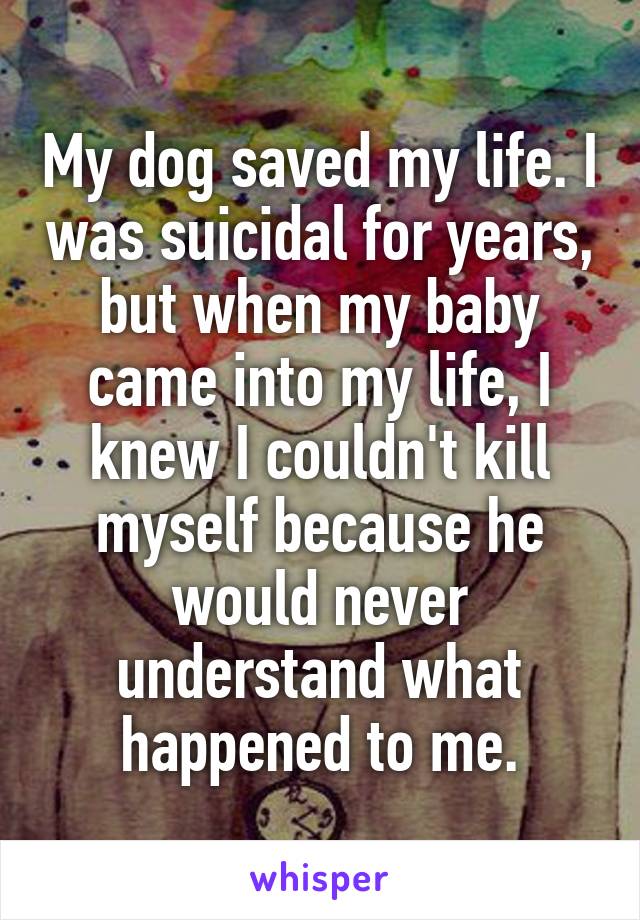 My dog saved my life. I was suicidal for years, but when my baby came into my life, I knew I couldn't kill myself because he would never understand what happened to me.