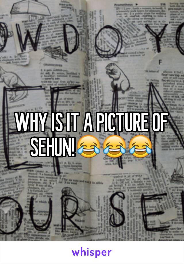 WHY IS IT A PICTURE OF SEHUN!😂😂😂