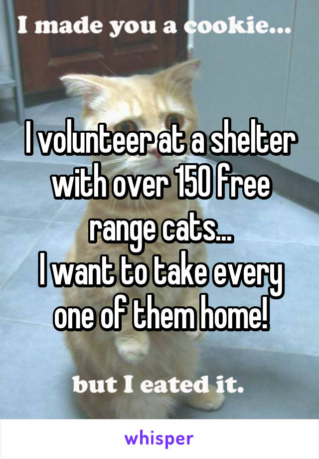 I volunteer at a shelter with over 150 free range cats...
I want to take every one of them home!