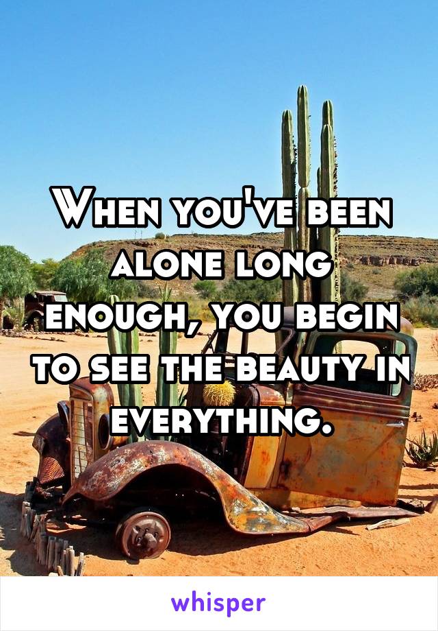 When you've been alone long enough, you begin to see the beauty in everything.