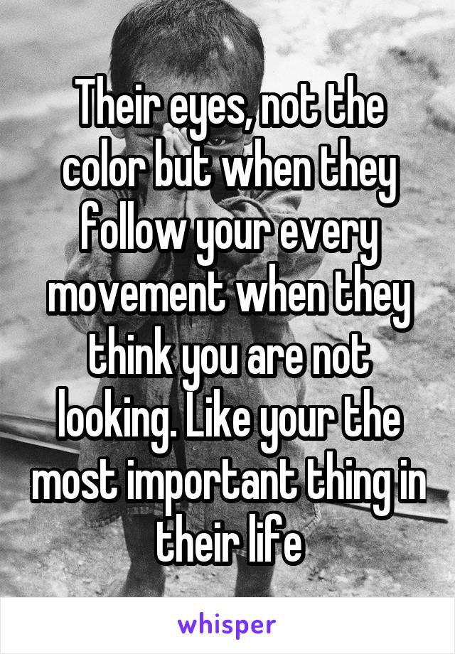 Their eyes, not the color but when they follow your every movement when they think you are not looking. Like your the most important thing in their life