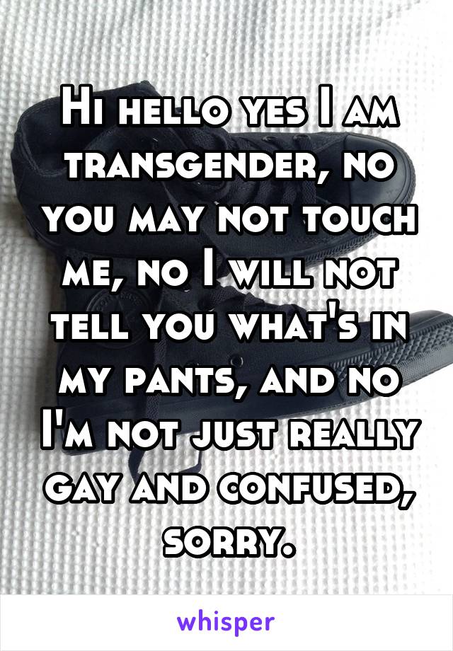 Hi hello yes I am transgender, no you may not touch me, no I will not tell you what's in my pants, and no I'm not just really gay and confused, sorry.