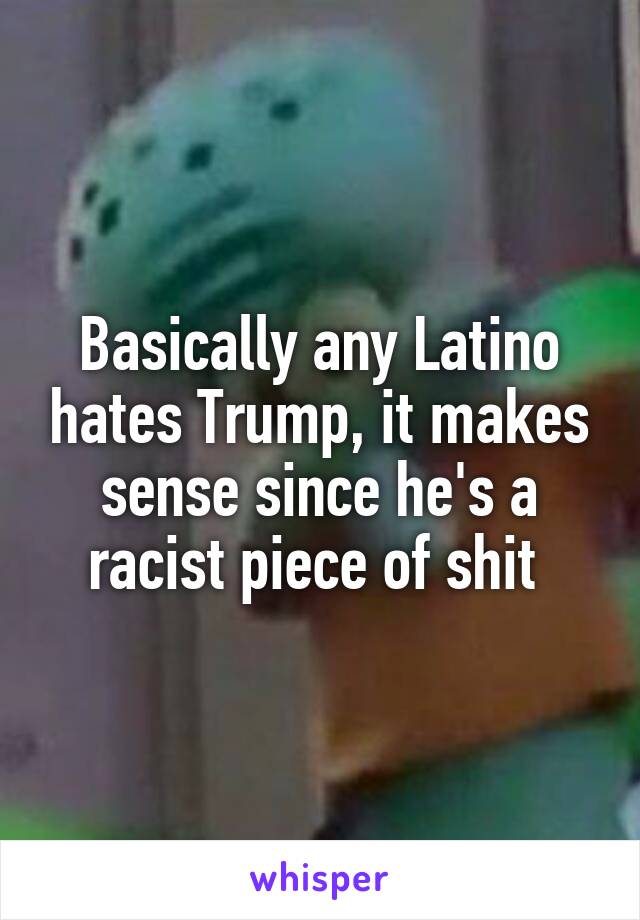 Basically any Latino hates Trump, it makes sense since he's a racist piece of shit 