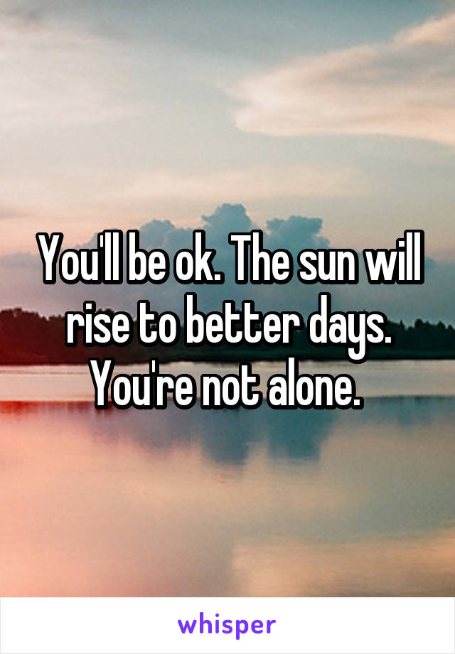 You'll be ok. The sun will rise to better days. You're not alone. 