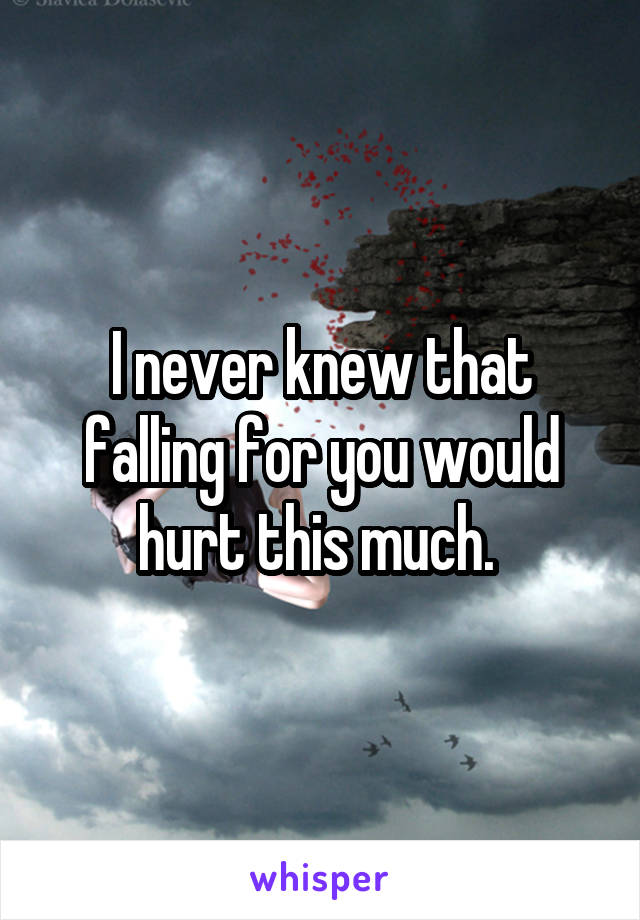 I never knew that falling for you would hurt this much. 