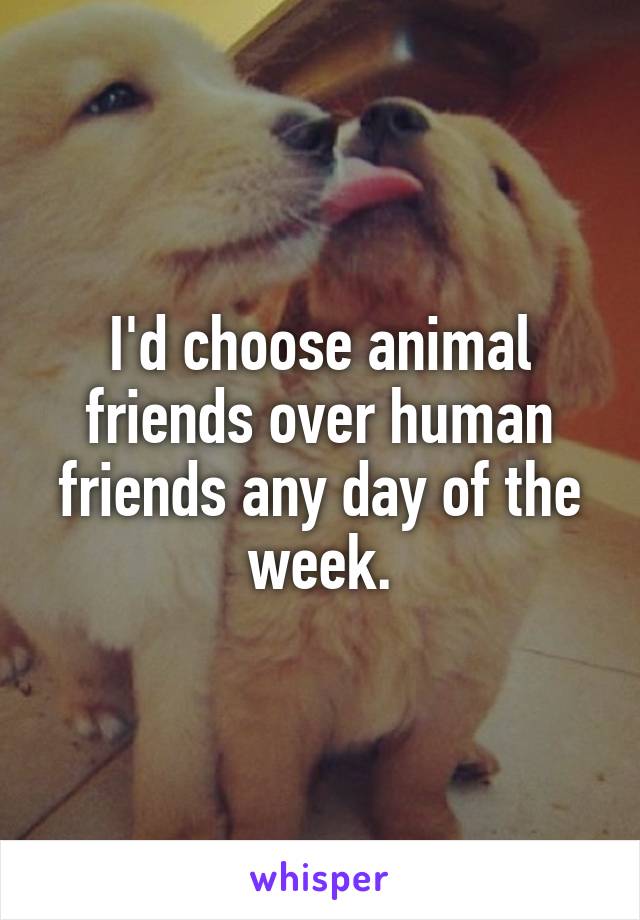 I'd choose animal friends over human friends any day of the week.