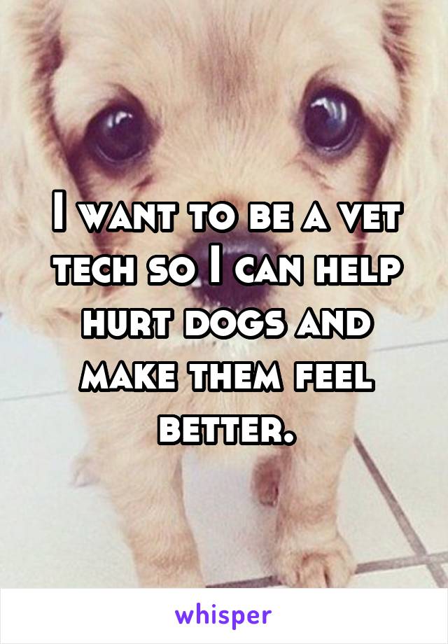 I want to be a vet tech so I can help hurt dogs and make them feel better.