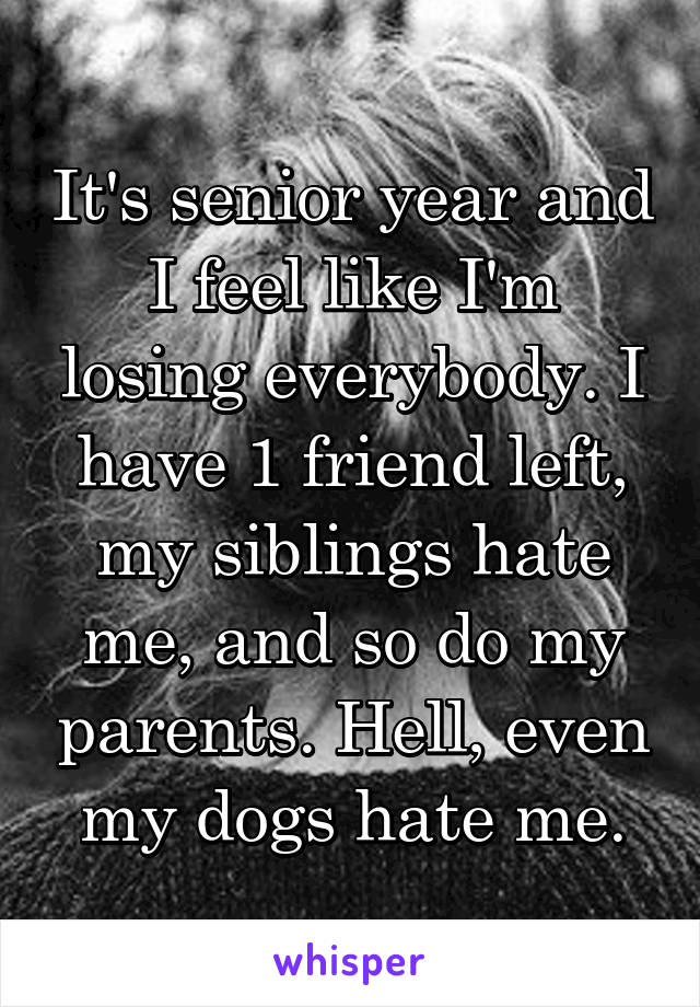 It's senior year and I feel like I'm losing everybody. I have 1 friend left, my siblings hate me, and so do my parents. Hell, even my dogs hate me.