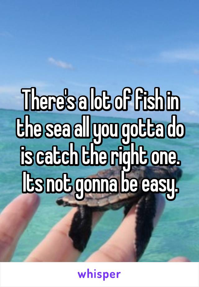 There's a lot of fish in the sea all you gotta do is catch the right one. Its not gonna be easy.