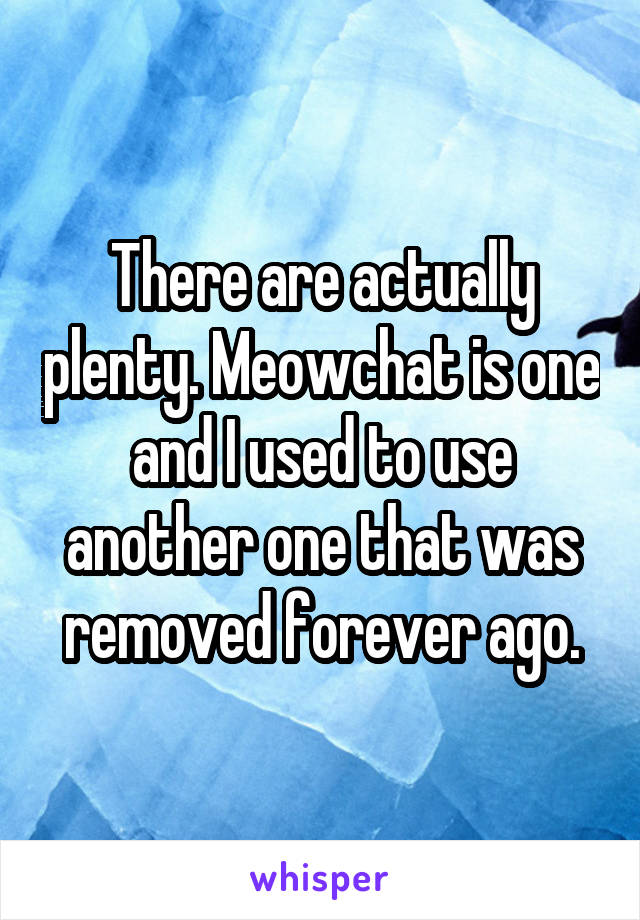 There are actually plenty. Meowchat is one and I used to use another one that was removed forever ago.