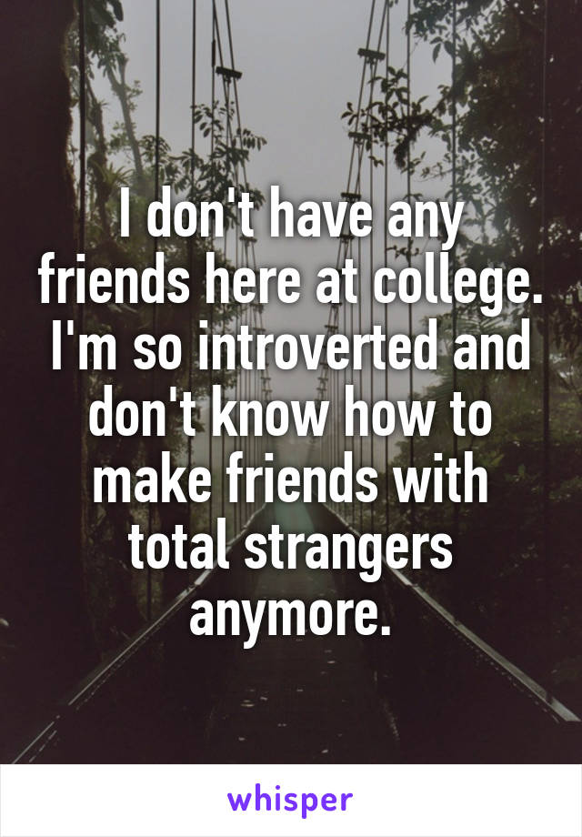 I don't have any friends here at college. I'm so introverted and don't know how to make friends with total strangers anymore.