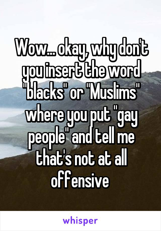 Wow... okay, why don't you insert the word "blacks" or "Muslims" where you put "gay people" and tell me that's not at all offensive 