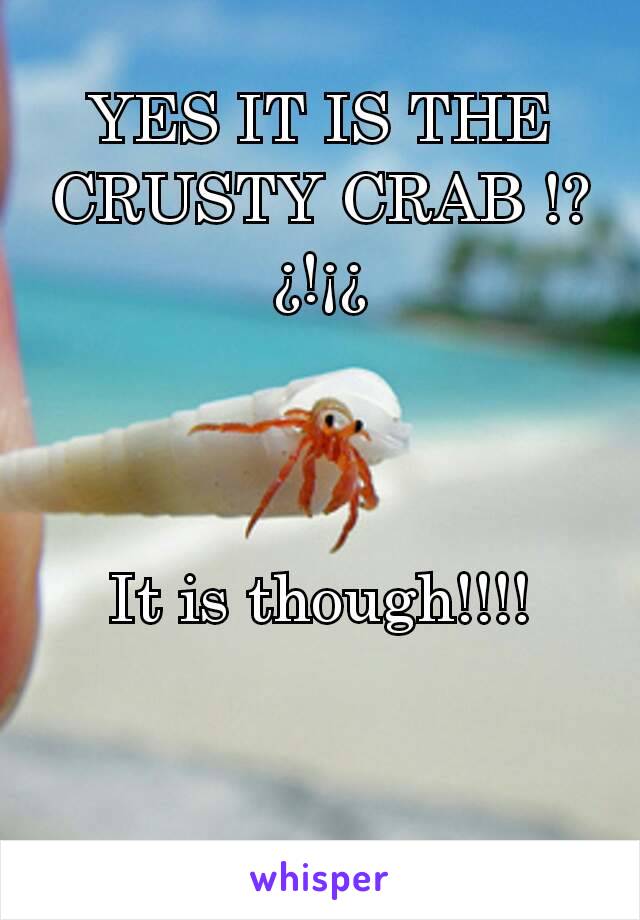 YES IT IS THE CRUSTY CRAB !?¿!¡¿



It is though!!!!