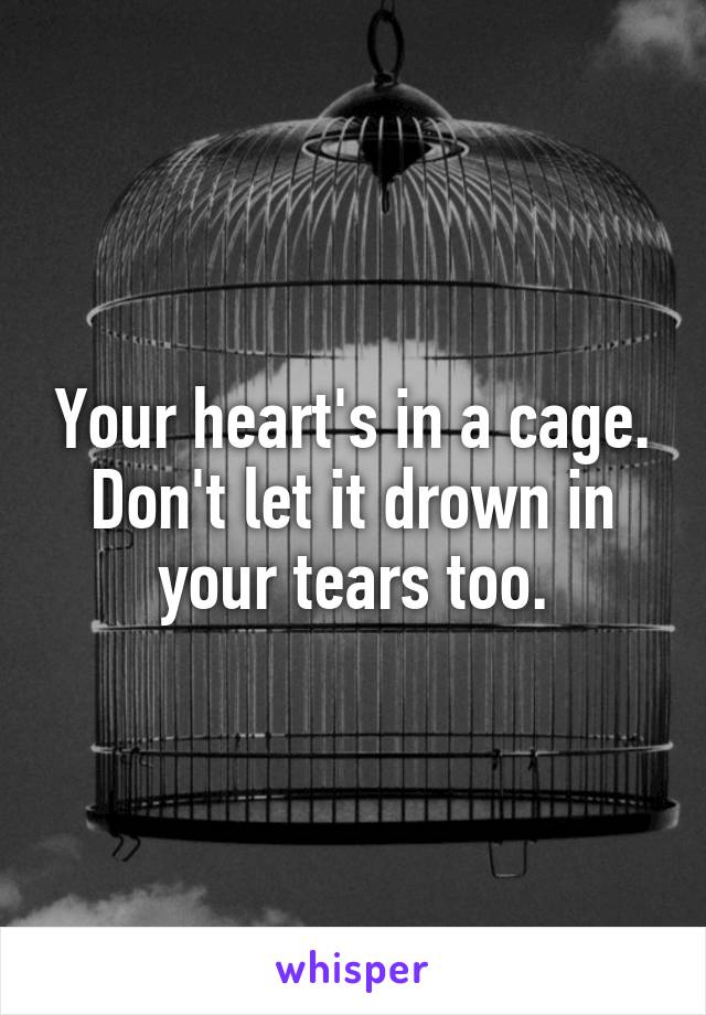 Your heart's in a cage. Don't let it drown in your tears too.