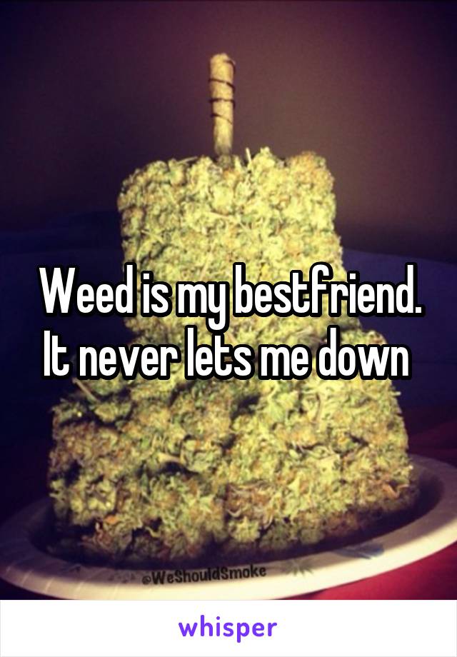 Weed is my bestfriend. It never lets me down 