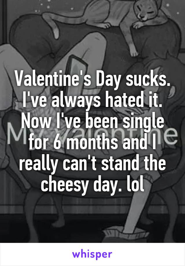 Valentine's Day sucks.
I've always hated it.
Now I've been single for 6 months and I really can't stand the cheesy day. lol