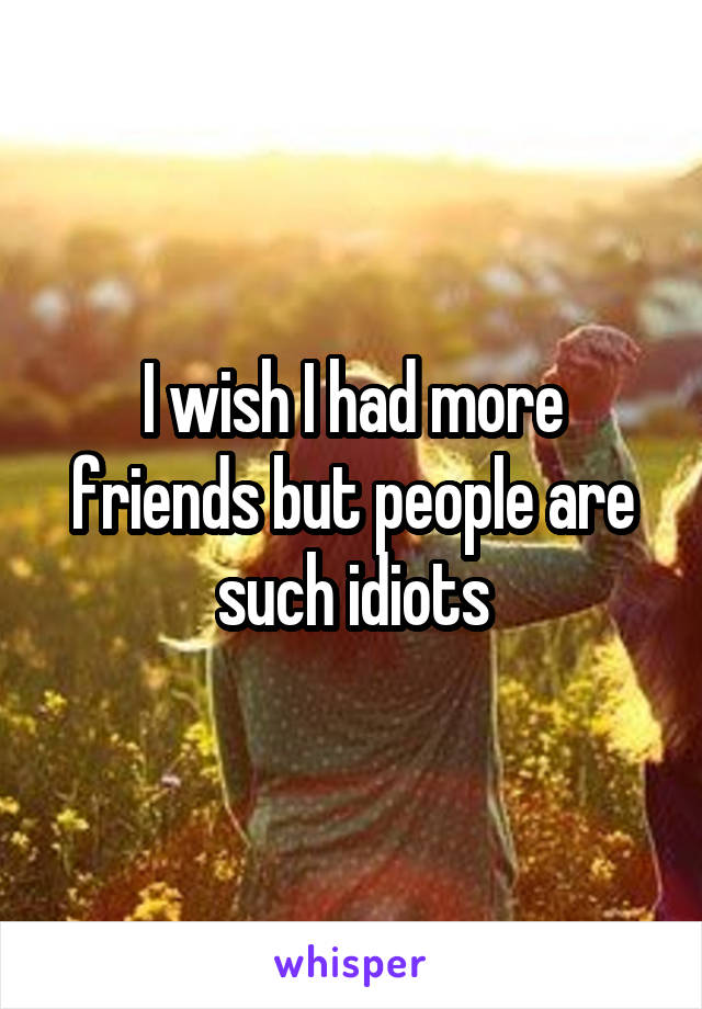 I wish I had more friends but people are such idiots