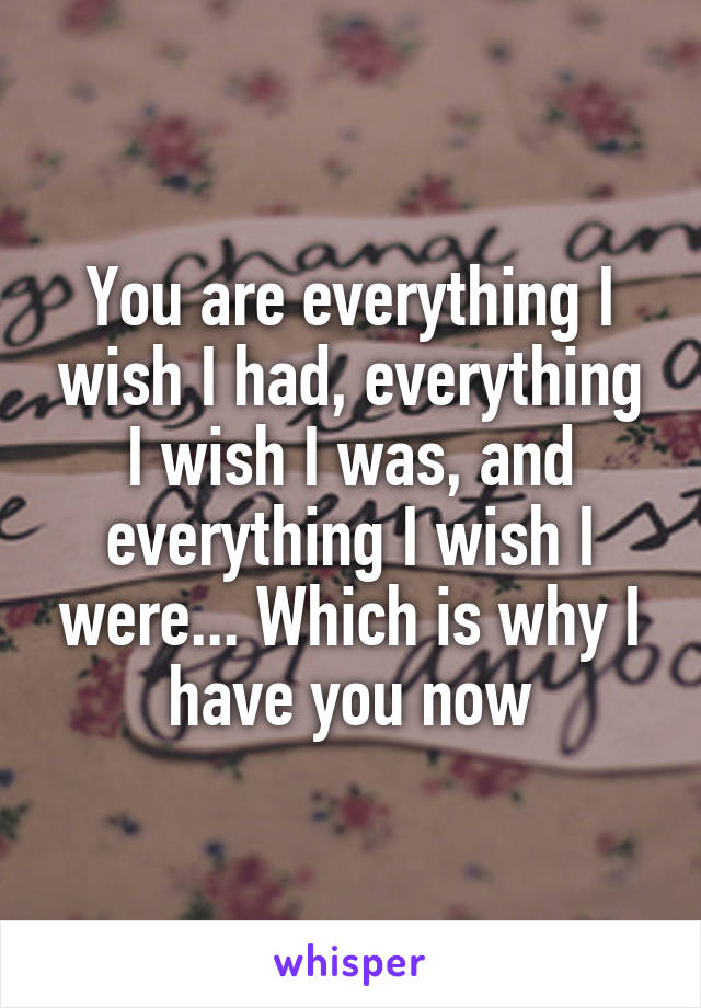 You are everything I wish I had, everything I wish I was, and everything I wish I were... Which is why I have you now