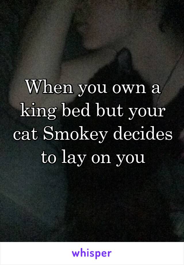 When you own a king bed but your cat Smokey decides to lay on you
