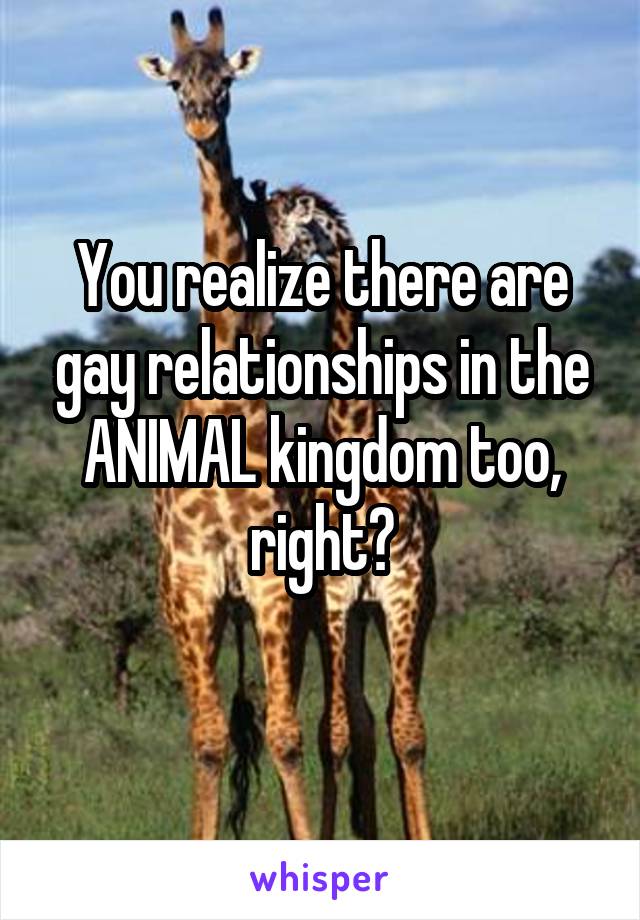 You realize there are gay relationships in the ANIMAL kingdom too, right?
