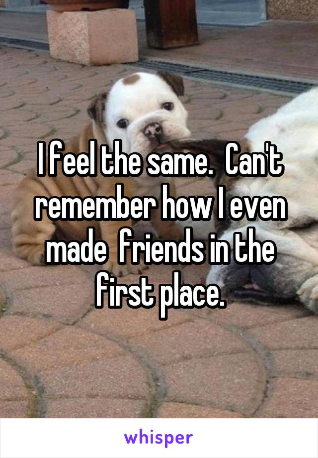 I feel the same.  Can't remember how I even made  friends in the first place.